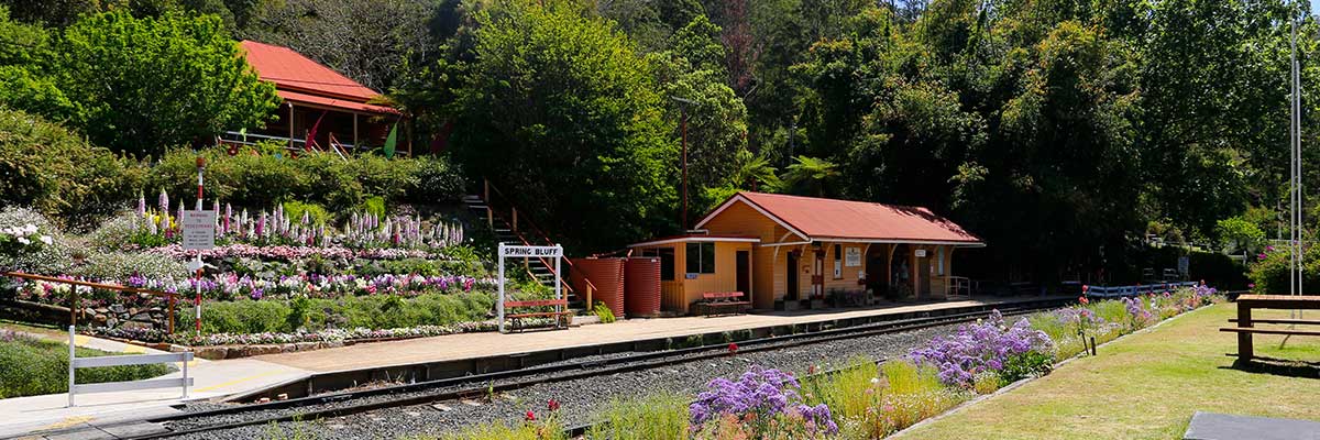 Spring Bluff Railway Station Gardens