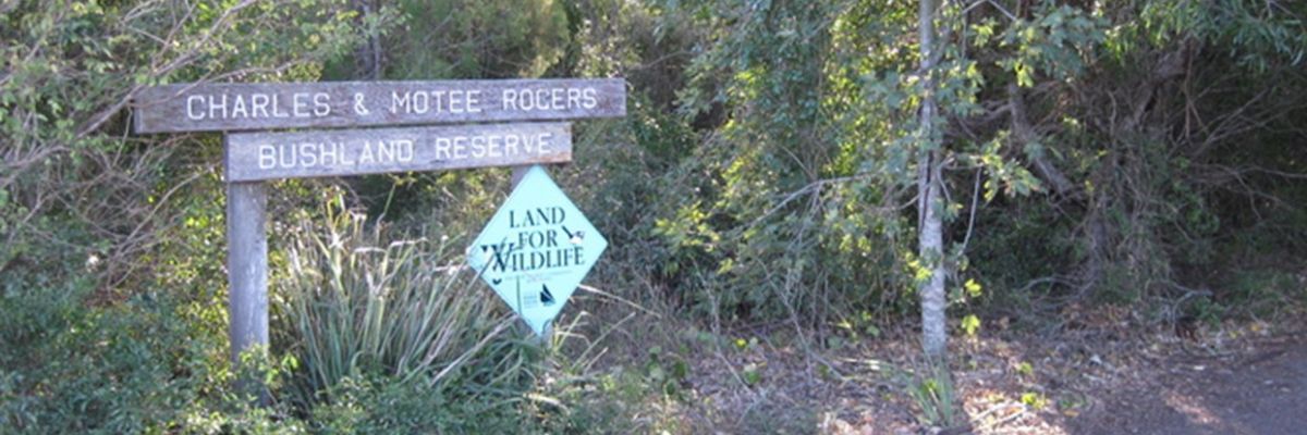 Charles and Motee Rogers Reserve Walking Tours