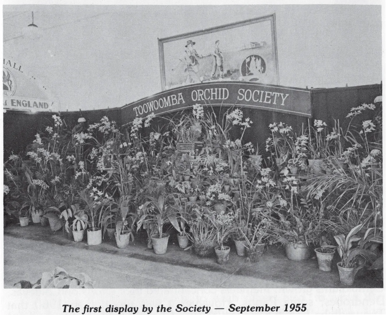 1955