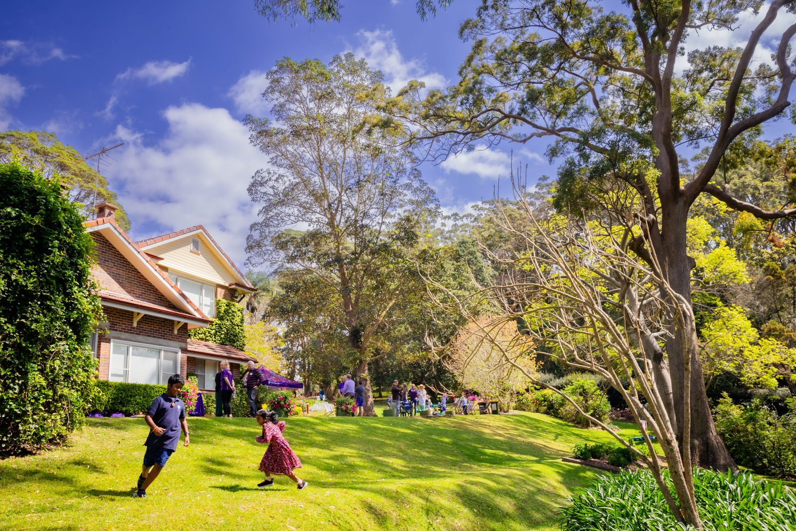 Boyce Gardens Community Day