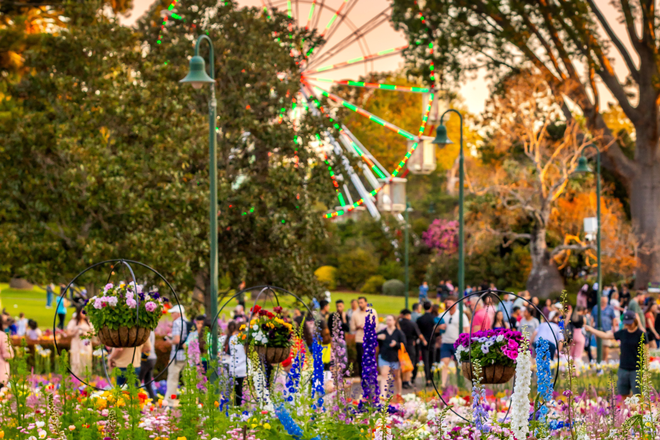 MR-Carnival 2025 Sets New Economic Records