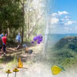 Comm-Event-2026-Carnival-In-the-Bush1