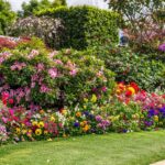 Comm-Event-2026-The-Chronicle-Garden-Comp