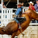 Comm-Event-2026-Toowoomba-Carnival-Bullride