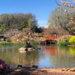 Comm-Event-2026The-Gardens-of-Toowoomba-2-12