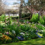 TCOF2020_1-282-scaled-12