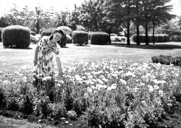 A-Legacy-of-Flowers-A-Journey-through-Carnival-of-Flowers-Past-16