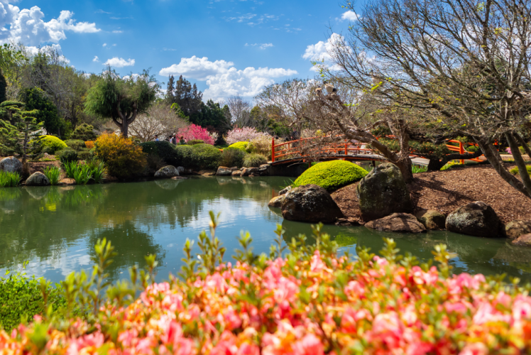 EDM Article-10 Reasons To Visit Toowoomba This Spring