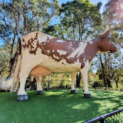 Festival-at-the-Big-Cow-scaled-16