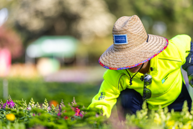 News Article-Meet the Team Behind Toowoomba's Blooming Masterpieces