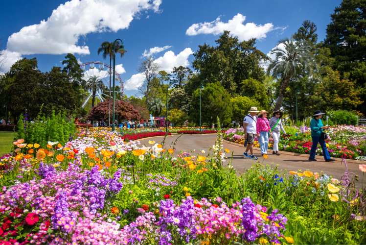 News - Record Breaking Carnival