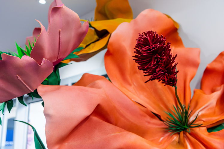 News-Toowoomba Calls on the Community to Bloom Big for Floral Friday 2026