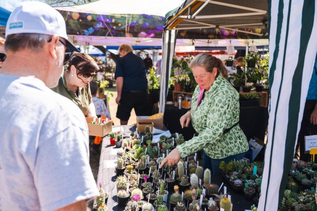 SucculentFest3