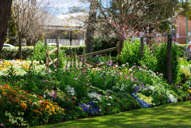 TCOF2020_1-282-scaled-15