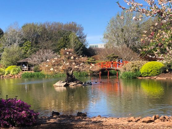 The-Gardens-of-Toowoomba-2